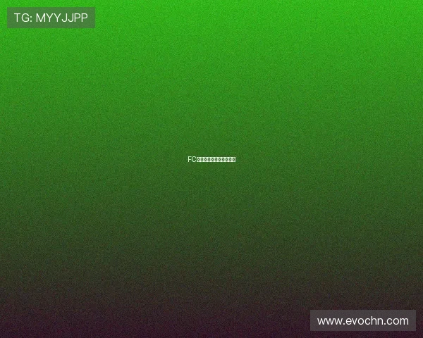 FC首尔新赛季攻防体系解析